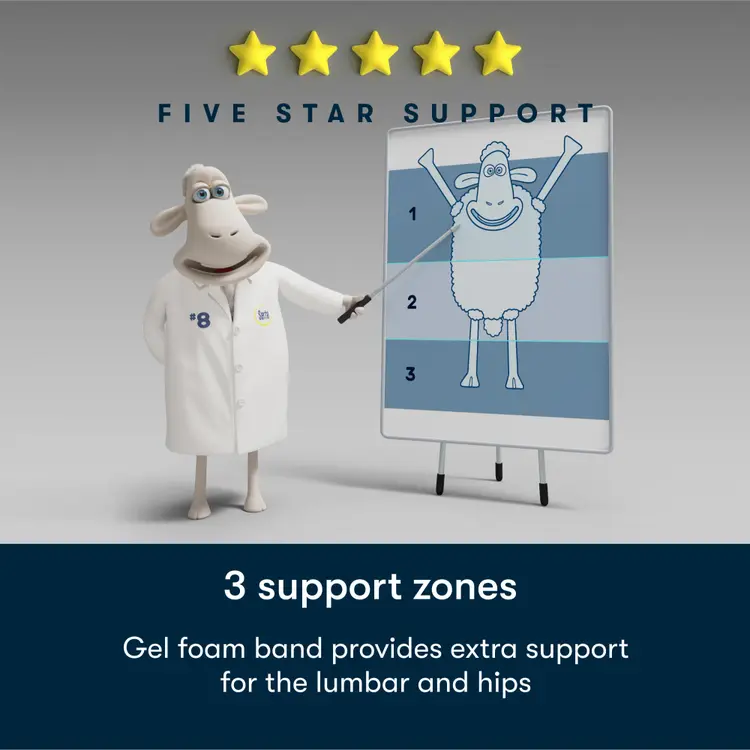 Serta Five Star Mattress