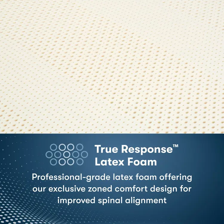 Serta Perfect Sleeper Pro Mattress