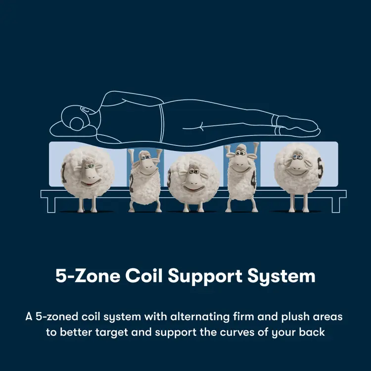 Illustration of a person lying on a mattress with cartoon sheep representing the 5-zone coil support system.