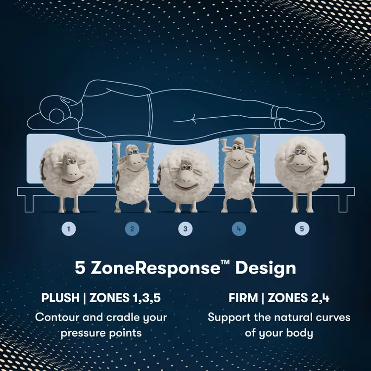 iComfortPro Kingston Firm Mattress 5 Zone chart || feel: firm || level: Level 3